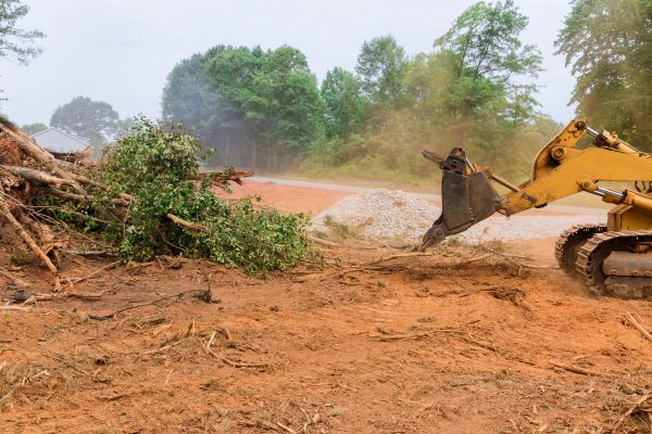 Forestry Mulching Service in Naples