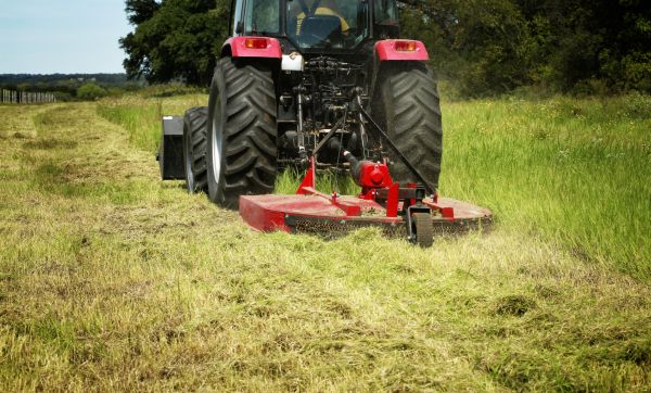 Brush Clearing Service in Naples