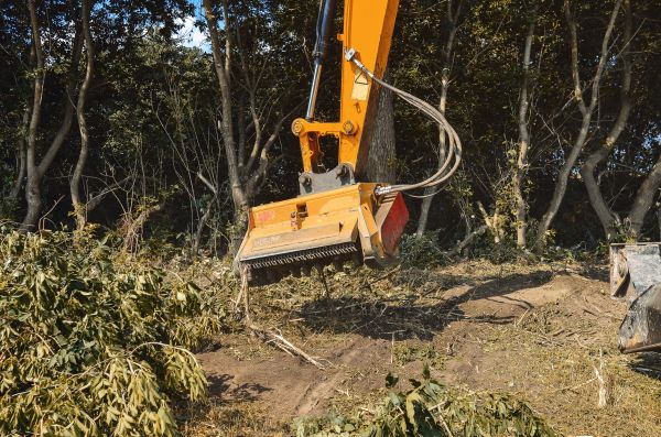 Brush Removal Service in Naples