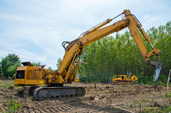 Farm Clearing in Naples