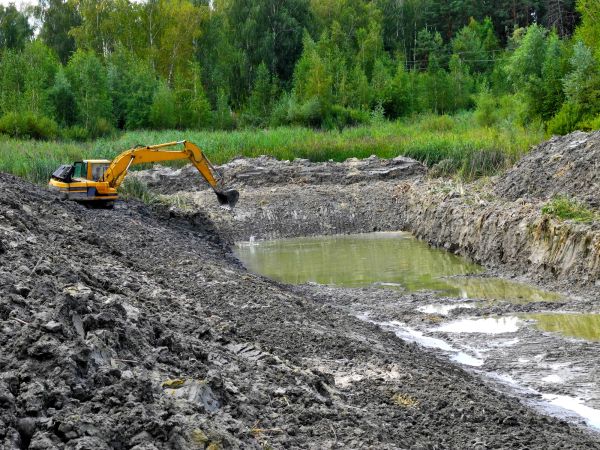 Lake Lot Clearing in Naples