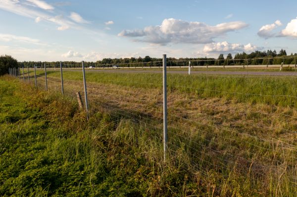 Property Line Clearing in Naples