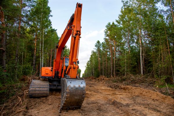 Backhoe Land Clearing in Naples