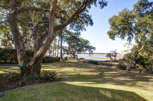 Lakefront Property Clearing in Naples