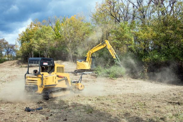 Terrain Clearing in Naples