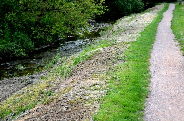 Trail Cutting in Naples