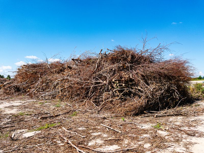Brush removal operation