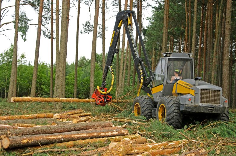 Land clearing equipment setup